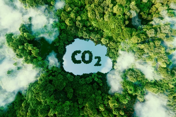 Carbon Dioxide - ESG