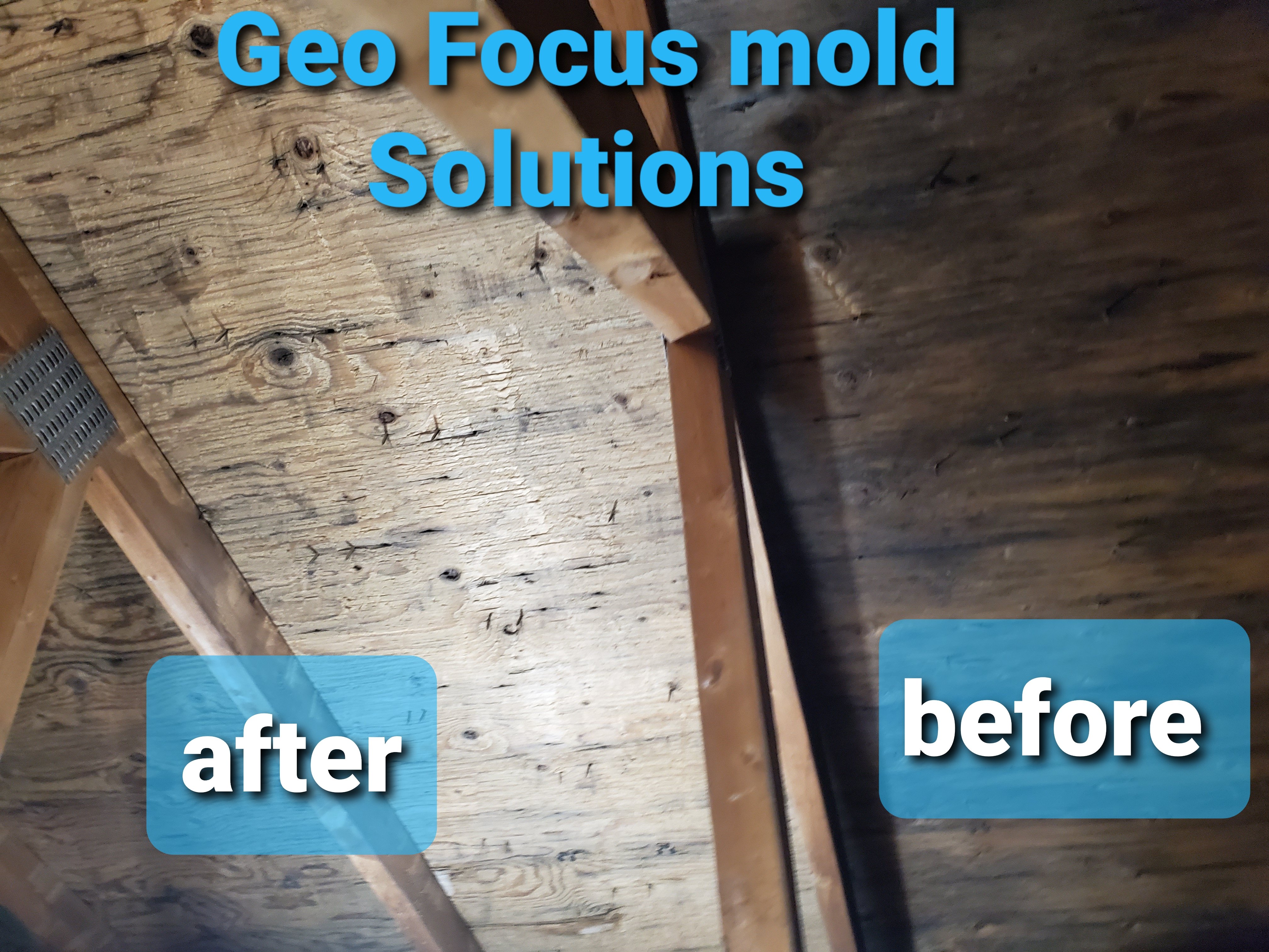 geofocus mold remediation