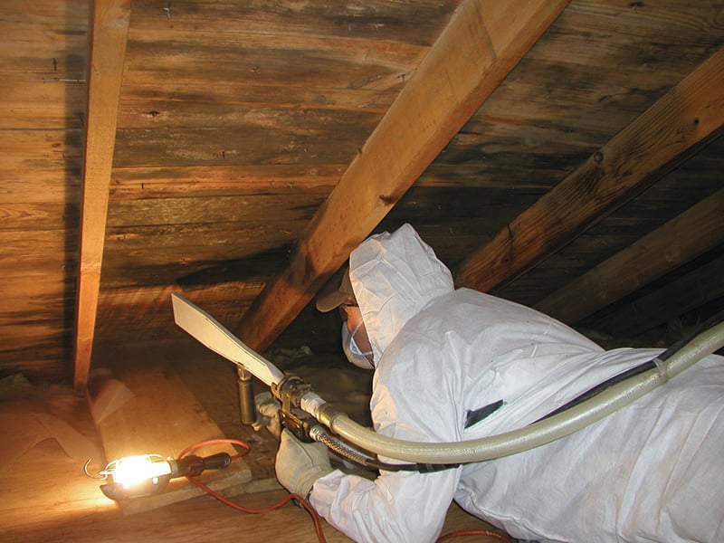 mold remediation